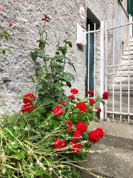 La Dolce Vita Teriasca Exterior foto